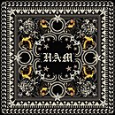 Download H•A•M (2011) from BearShare