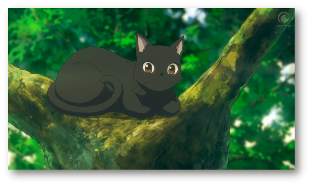 Black Anime Cat Chito