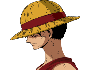 Image 1: Luffy from One Piece, with a partially hidden face, but wearing his trademark Straw Hat. how to find anime by picture